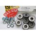 Rock Star Ceramic Bearings